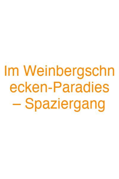 Im Weinbergschnecken-Paradies – Spaziergang