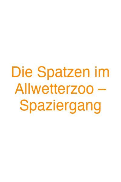 Die Spatzen im Allwetterzoo – Spaziergang